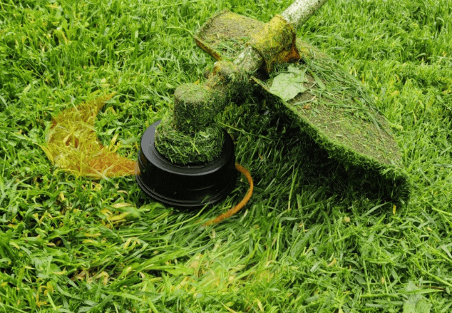 Can I use a weed wacker to mow my lawn?